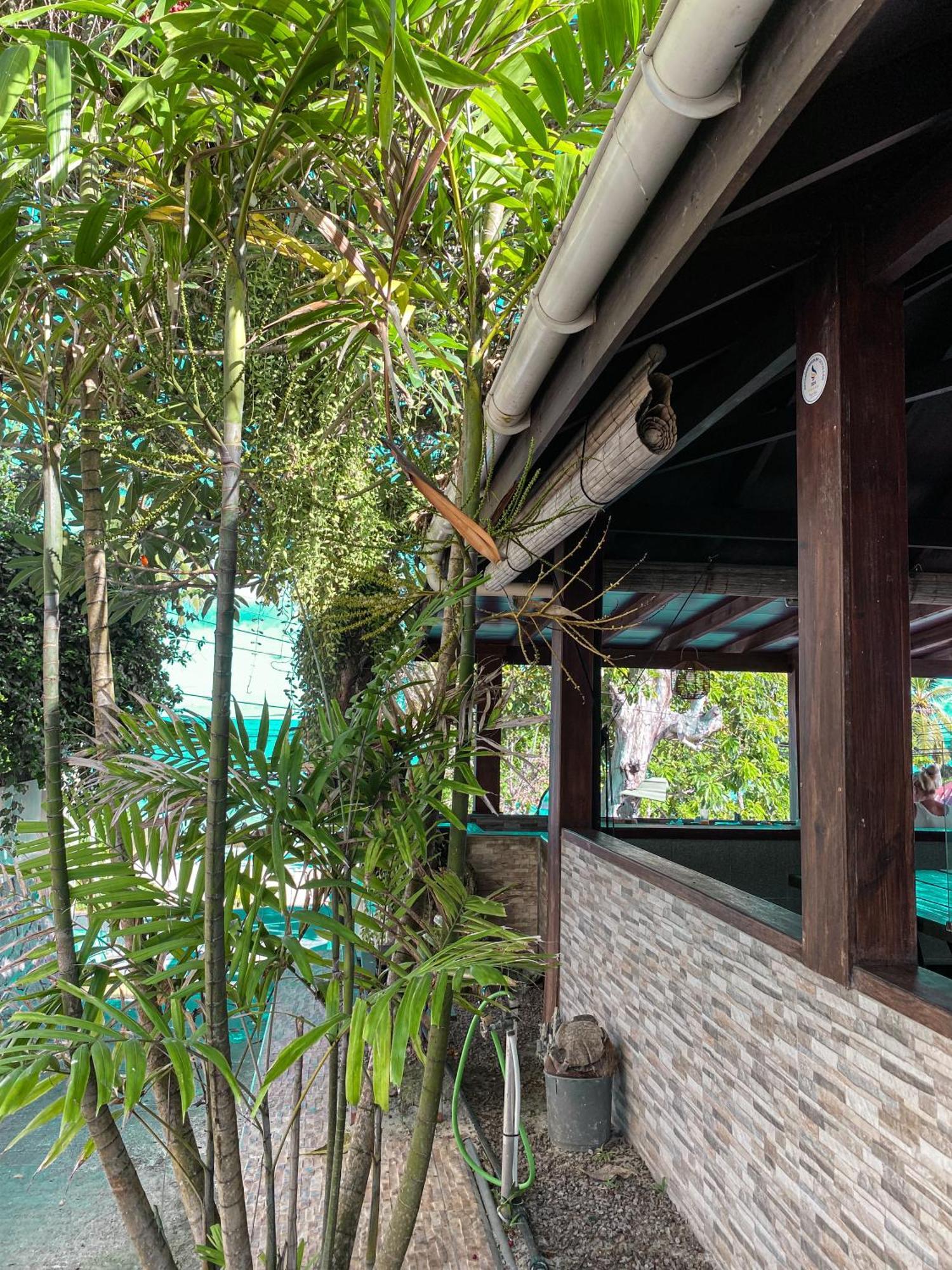 ไดเวอร์ลอดจ์เกสท์เฮาส์ Bed & Breakfast โบวาลง ภายนอก รูปภาพ